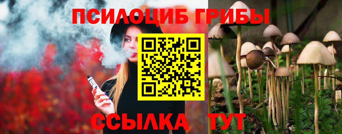 Псилоцибиновые грибы ЛСД  Вход с VPN  Псилоцибиновые грибы GOLDEN TEACHER  Якутск 
