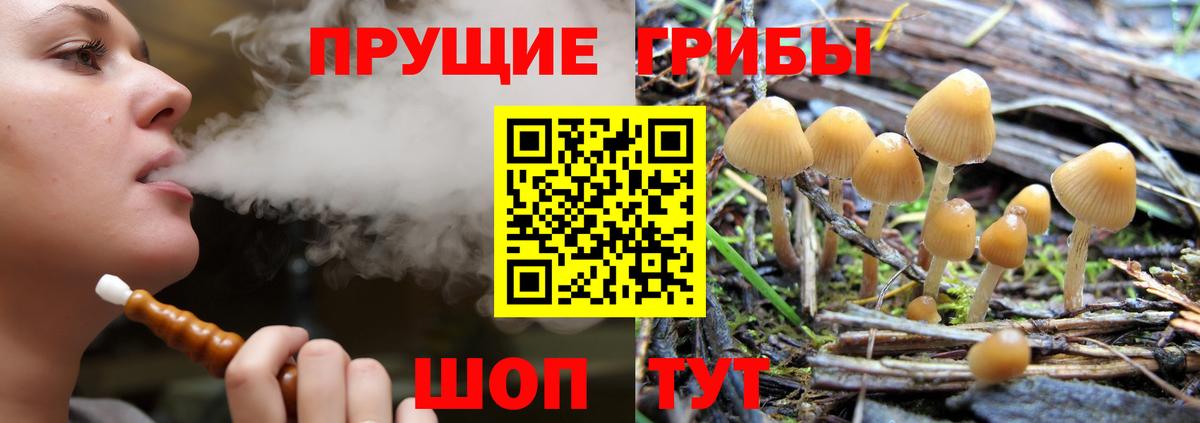 Галлюциногенные грибы мицелий Якутск