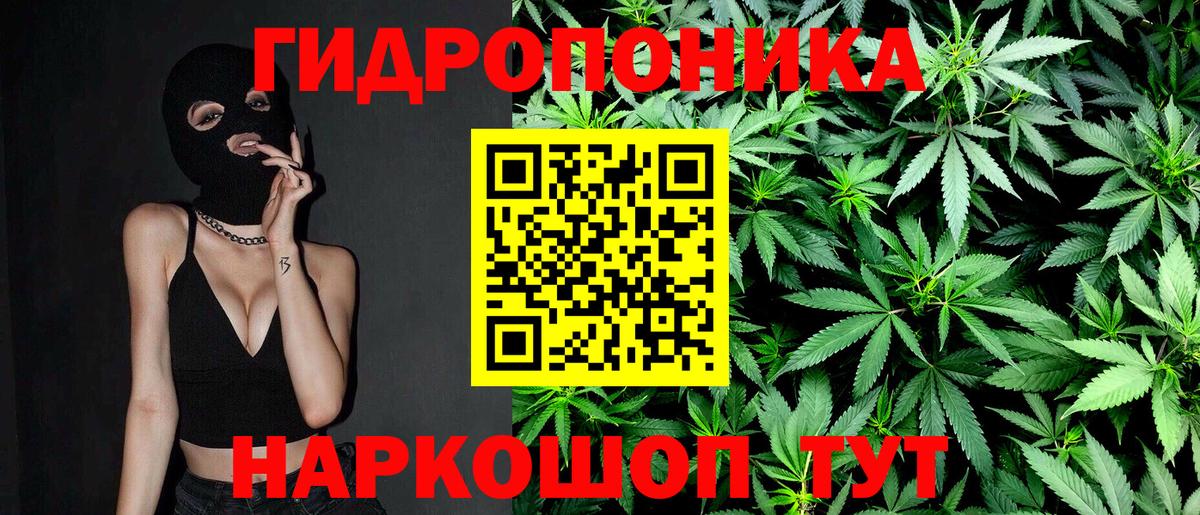 Бошки марихуана сатива  Бошки марихуана гибрид  Марихуана семена  Марихуана семена  Якутск  Вход с VPN 